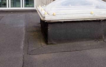 disadvantages of South Petherton flat roofs